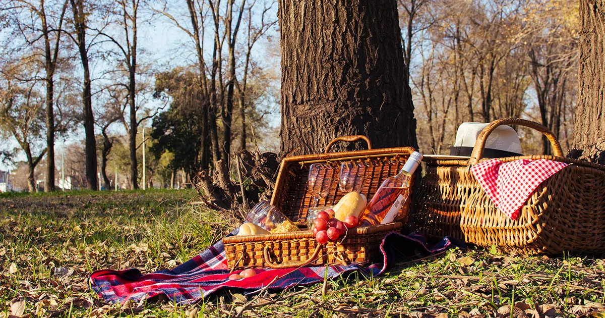 Find Shade and Magic Under a Sprawling Tree